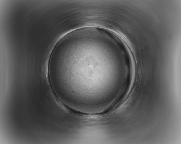 X0000088860862200706081151