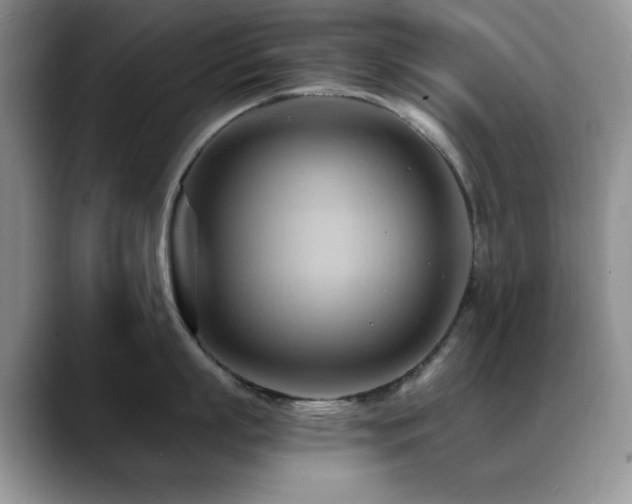 X0000088860863200706081151