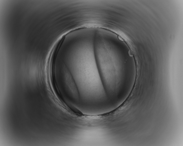 X0000088860864200706081151