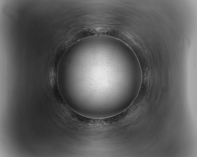 X0000088860866200706081151