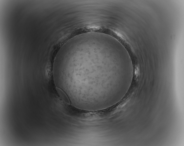 X0000088860867200706081151
