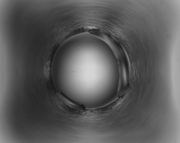 X0000088860868200706081151