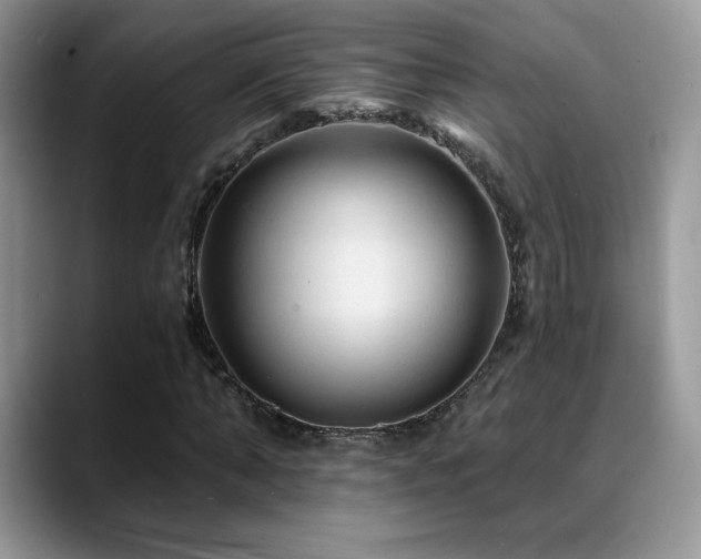 X0000088860870200706081151