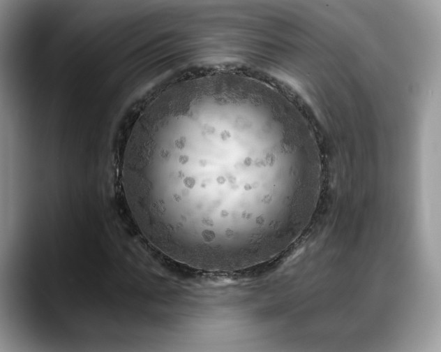 X0000088860871200706081151