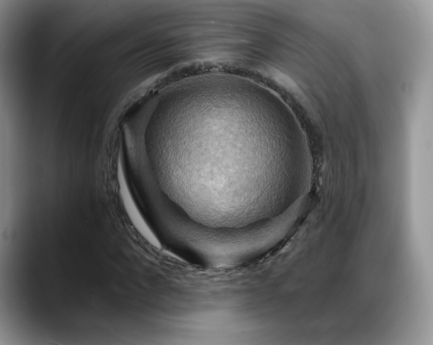 X0000088860872200706081151