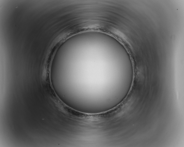 X0000088860874200706081151