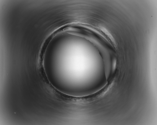 X0000088860876200706081151