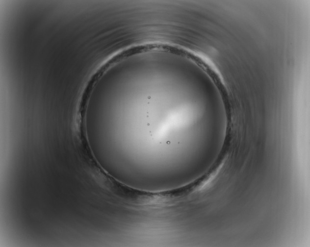 X0000088860879200706081151