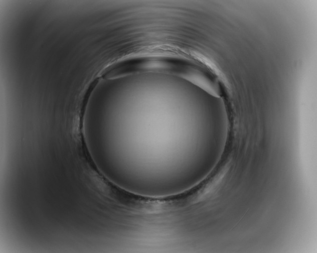 X0000088860881200706081151