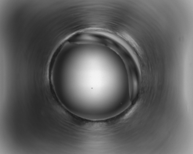 X0000088860884200706081151