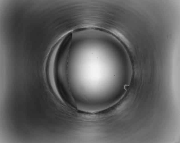 X0000088860885200706081151