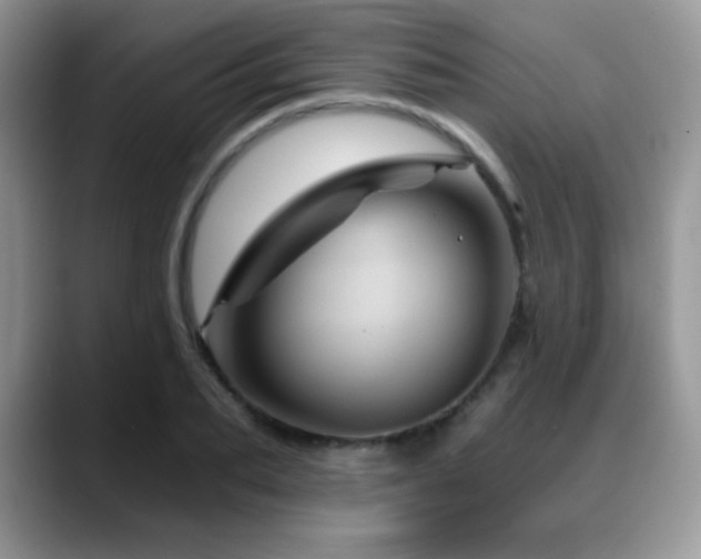 X0000088860887200706081151