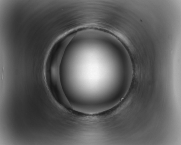 X0000088860888200706081151