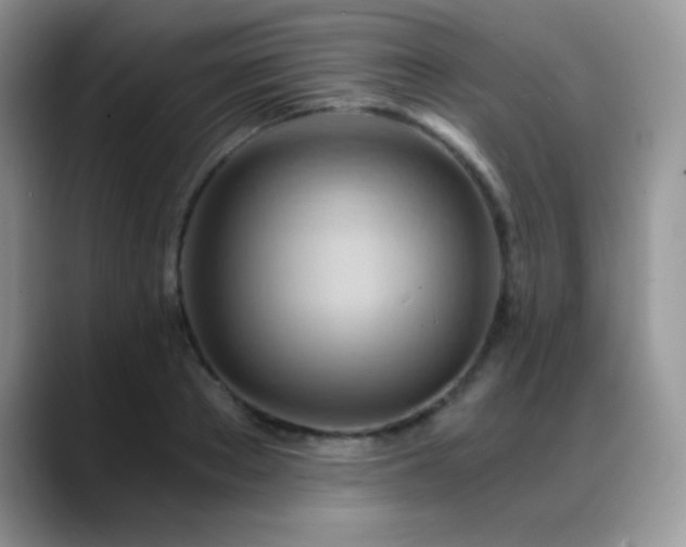 X0000088860889200706081151