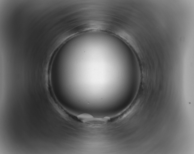 X0000088860890200706081151
