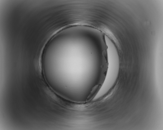 X0000088860892200706081151