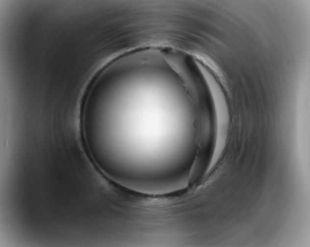 X0000088860894200706081151