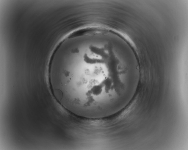 X0000088860895200706081151
