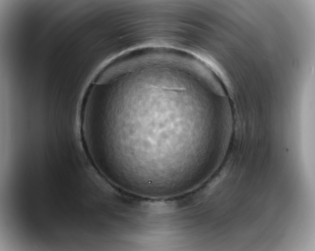 X0000088860896200706081151