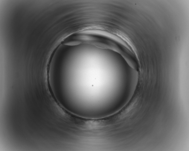 X0000088860898200706081151