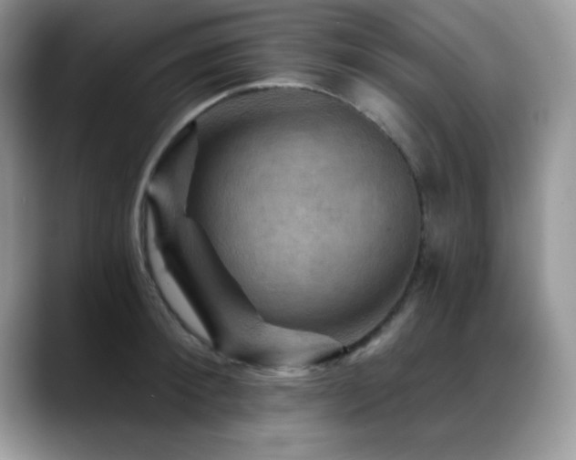 X0000088860900200706081151