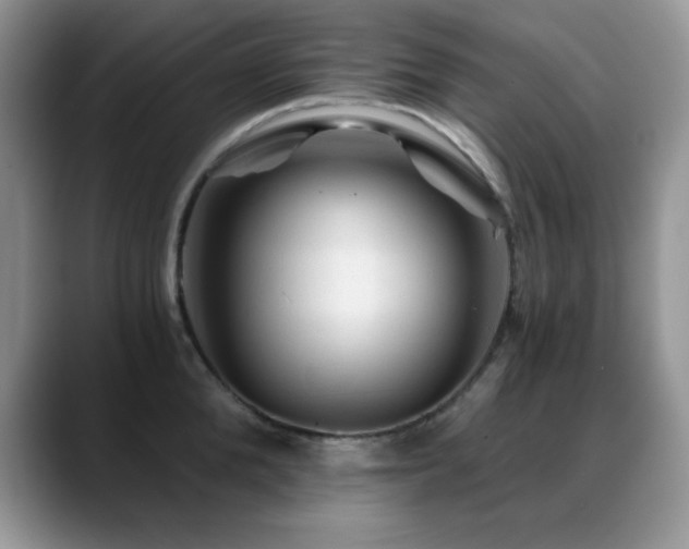 X0000088860904200706081150