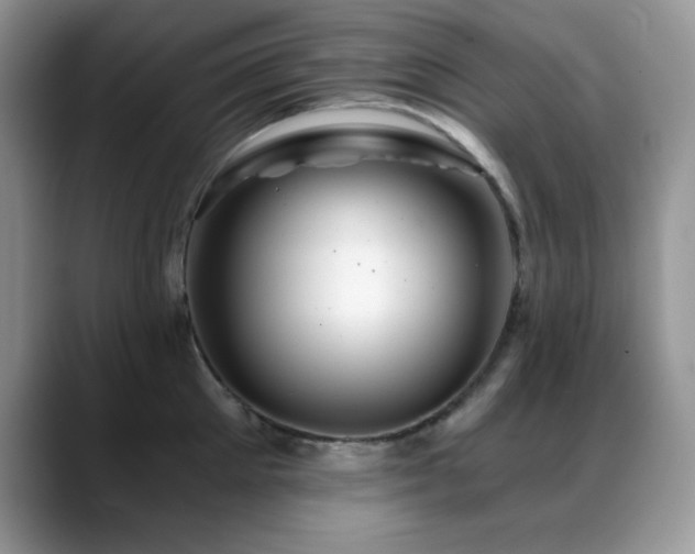 X0000088860905200706081150