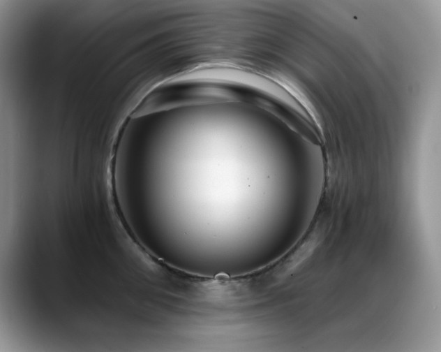 X0000088860906200706081150