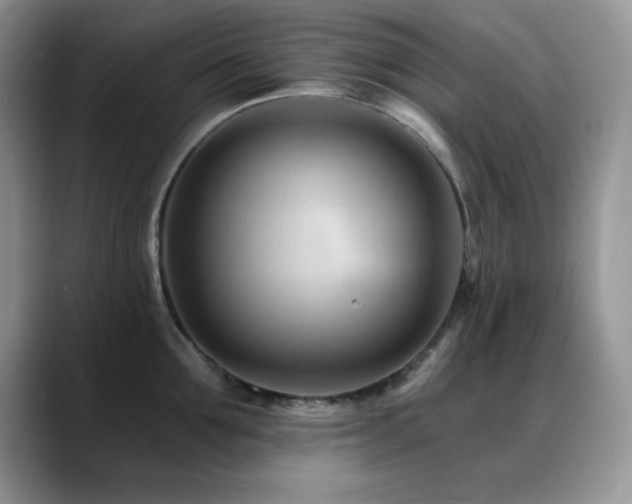 X0000088860907200706081150