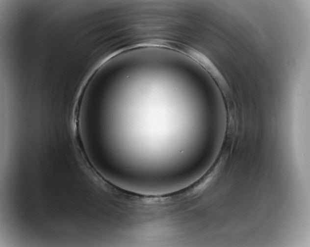 X0000088860908200706081150