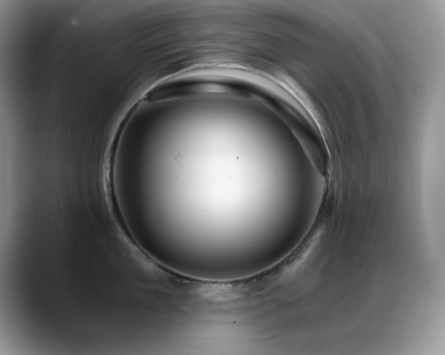 X0000088860909200706081150