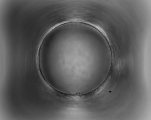 X0000088860911200706081150