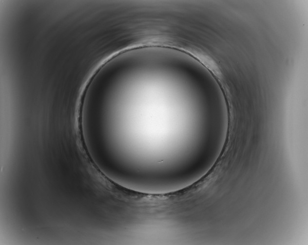 X0000088860912200706081150