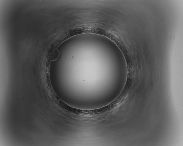 X0000088860913200706081150