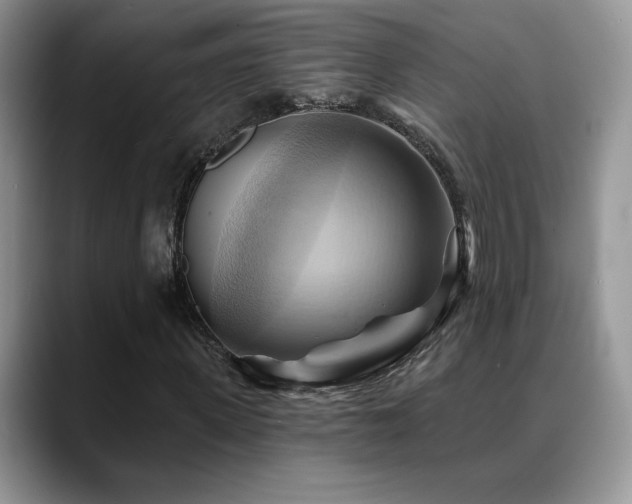 X0000088860915200706081150