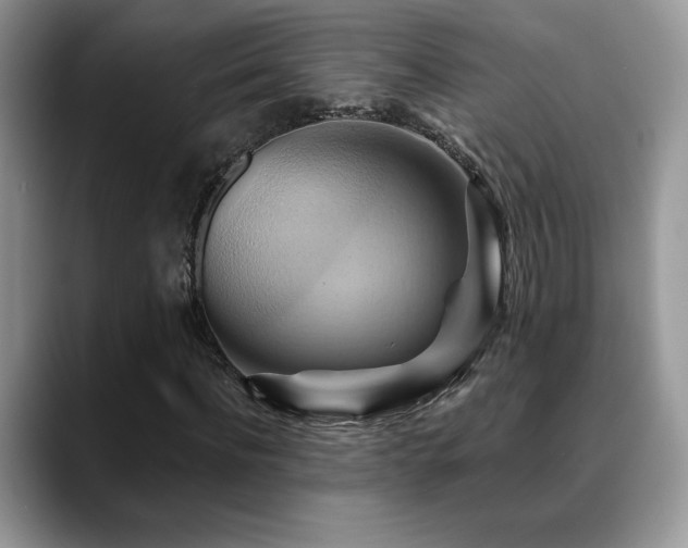 X0000088860916200706081150
