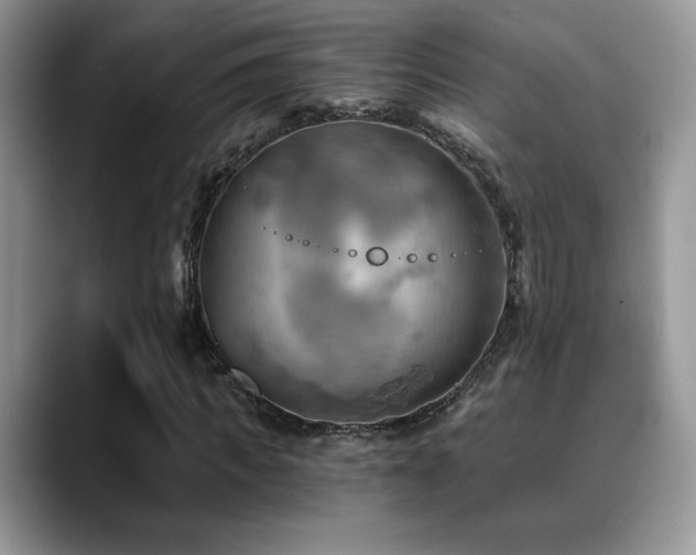 X0000088860917200706081150