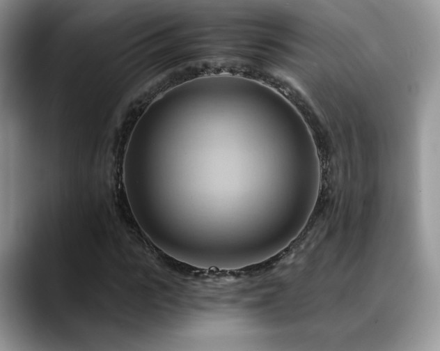 X0000088860919200706081150