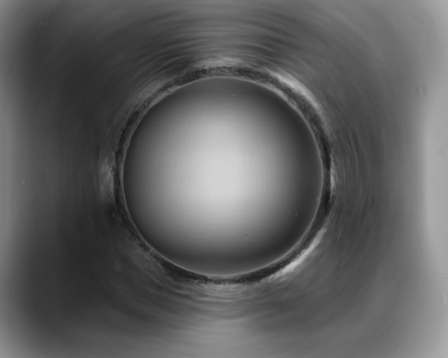X0000088860921200706081150