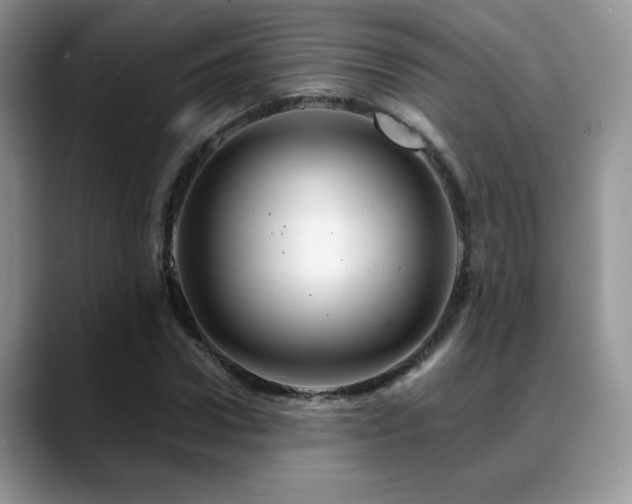 X0000088860922200706081150