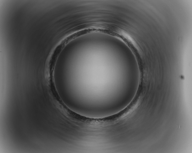 X0000088860923200706081150