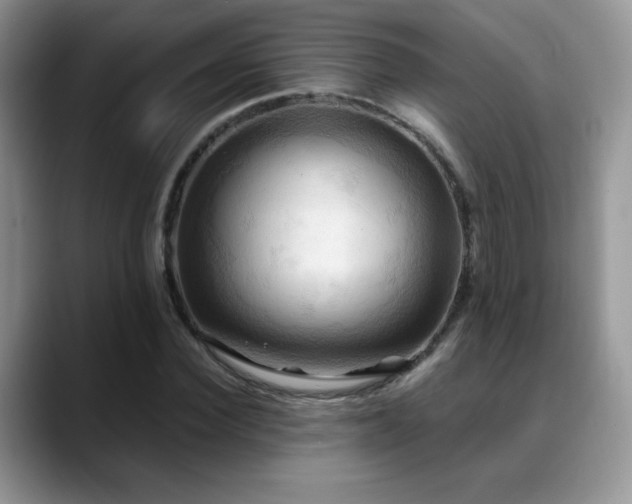 X0000088860924200706081150