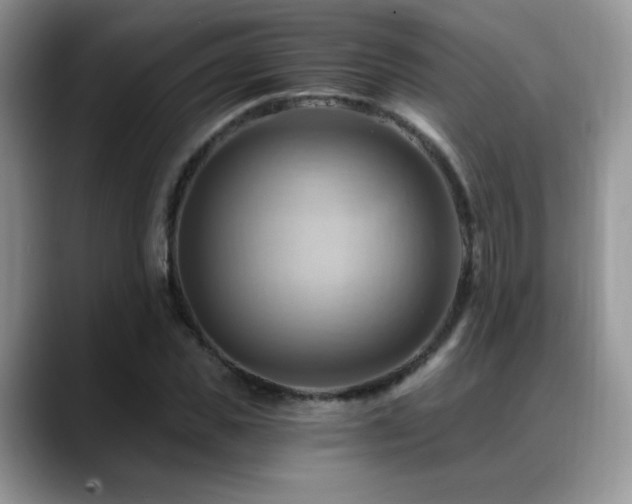 X0000088860925200706081150