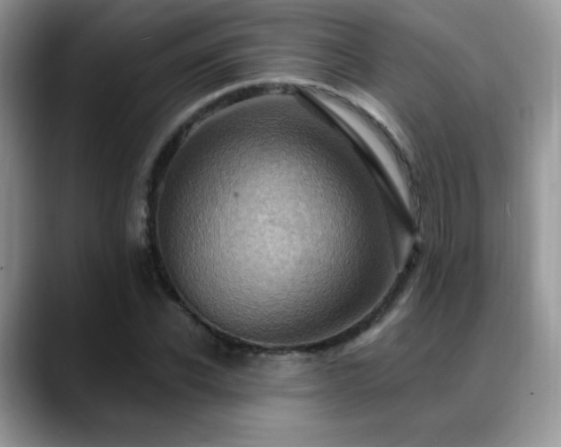 X0000088860926200706081150