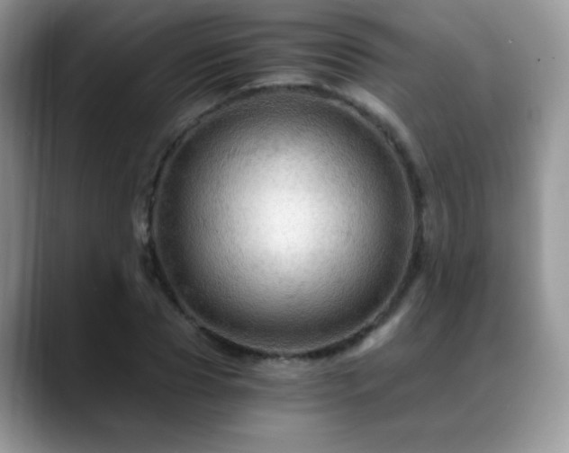X0000088860929200706081150