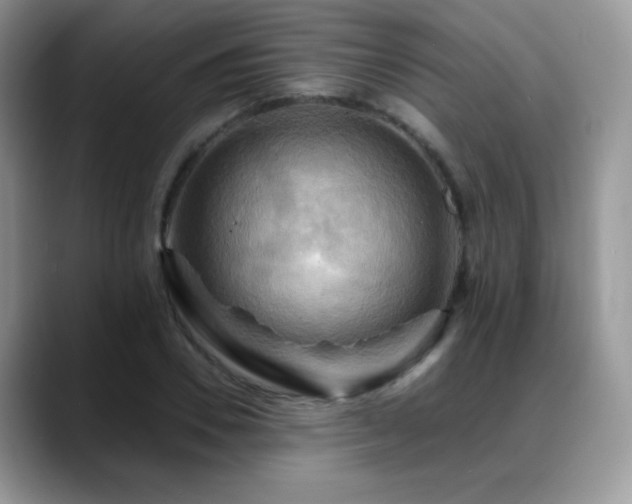 X0000088860930200706081150