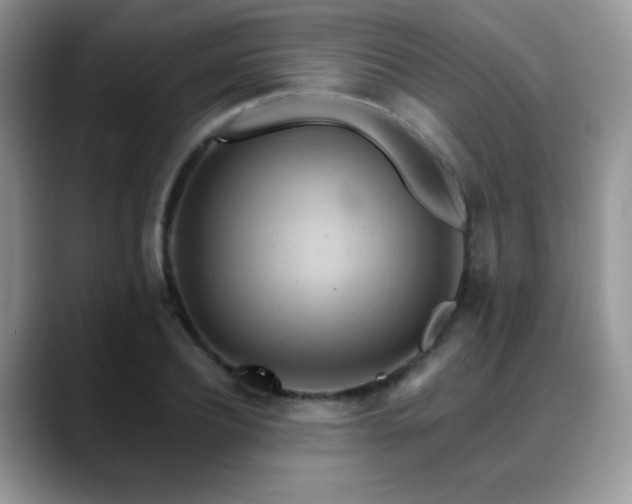 X0000088860932200706081150