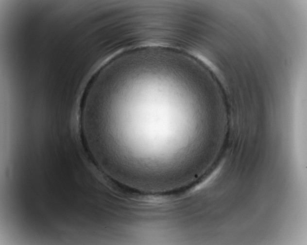 X0000088860933200706081150