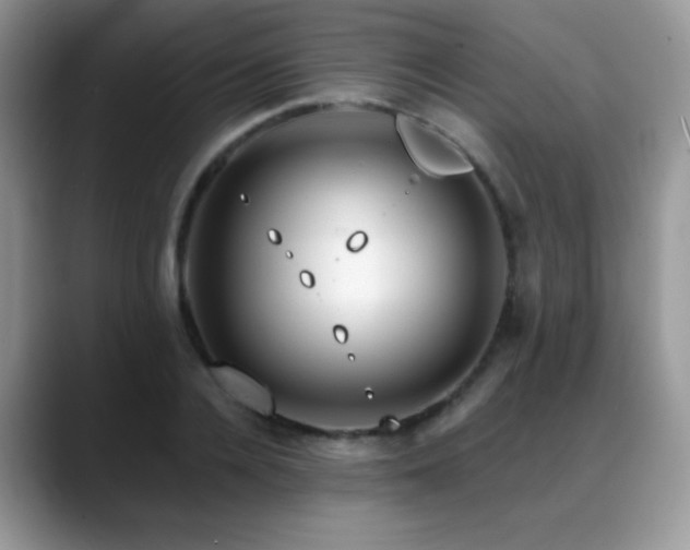 X0000088860936200706081150