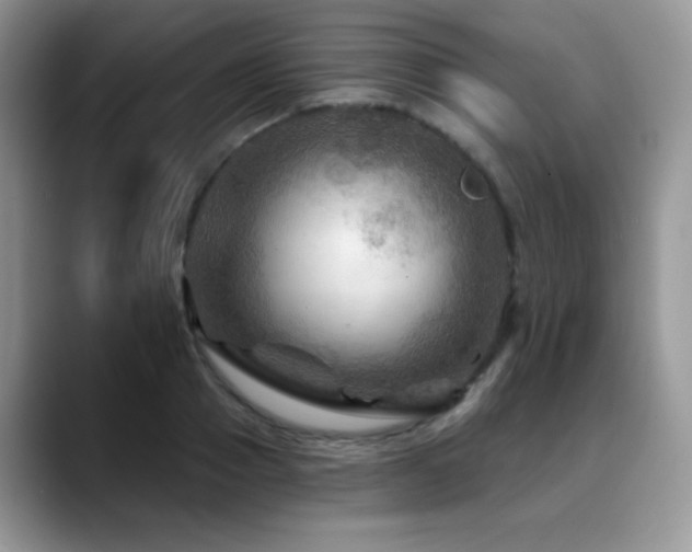 X0000088860937200706081150